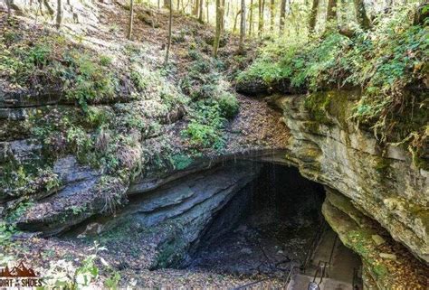 8 Things You Cant Miss On Your First Visit To Mammoth Cave In 2021