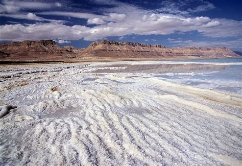 Strange Salt Formations In The Dead Sea Amusing Planet