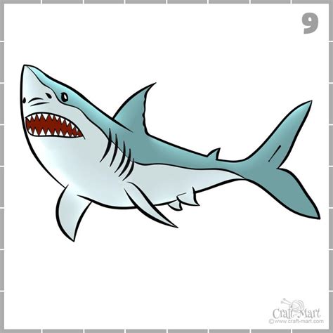 How To Draw A Shark In 9 Easy Steps Craft Mart