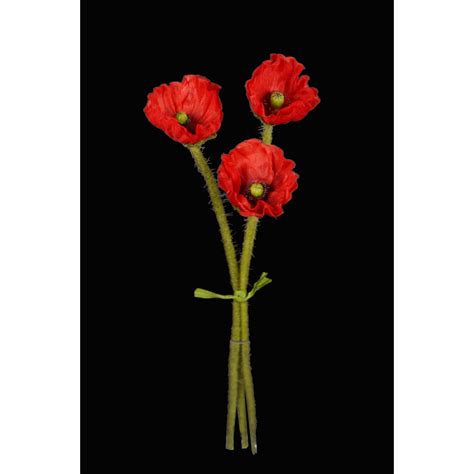 Géométriques botanique, bouquet bras tatouage. Coquelicot Bouquet - Bouquet de coquelicots par Yves Lahanque sur L'Internaute - Boutique de ...