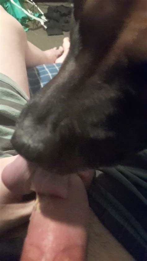Dog Licks Peanut Butter Of 19 Year Old Cock Part 1