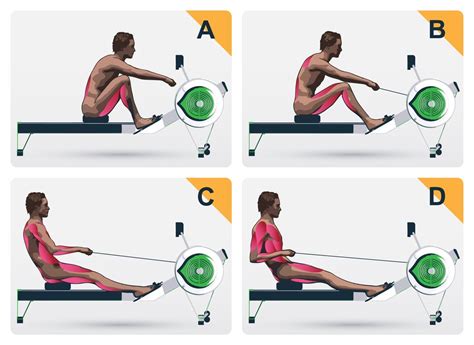 The Abcs Of Buying The Best Rowing Machine