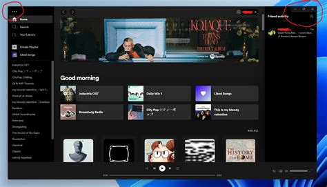 Desktop Other Fix Window Buttons On Windows 11 The Spotify Community