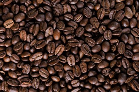 Como Elegir El Mejor CafÉ ⋆ Todo Con Café