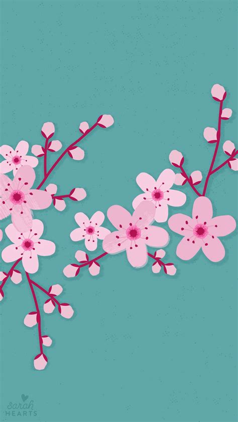 500 Cherry Blossom Wallpapers
