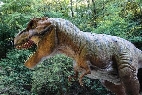 Gambar Fauna Patung Takut Dinosaurus Tyrannosaurus Tyranosaurus