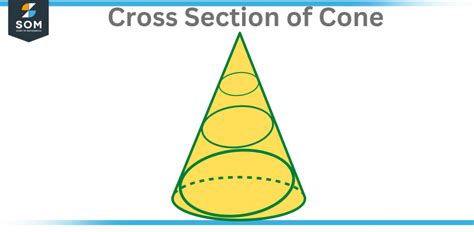Cross Section Definition And Meaning