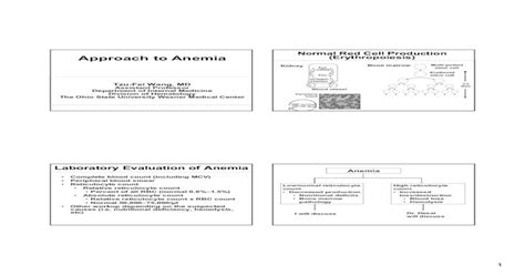 Approach To Anemia Final Handout To Anemia Final 4pdf2 Anemia With