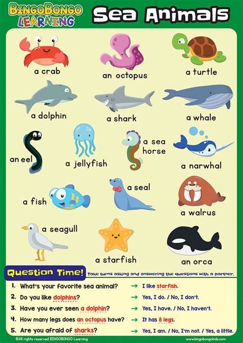 Bingobongo Classroom Poster Sea Animals Bingobongo