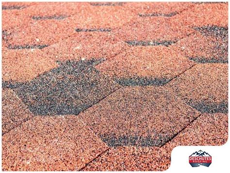 The Proper Way Of Dealing Shingle Granule Loss Deschutes Roofing