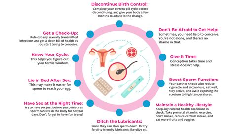 How To Get Pregnant Fast 10 Tips For Faster Conception Momlovesbest
