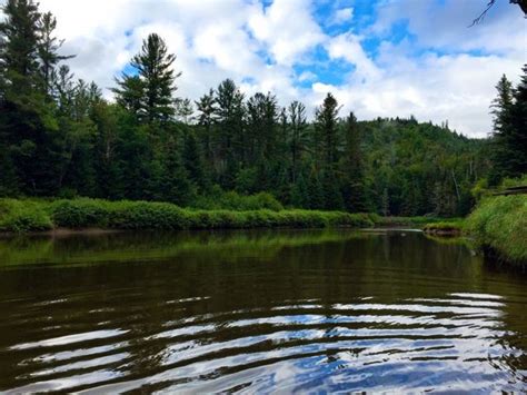 Adirondack Facts Things To Know Before You Go Lake Placid