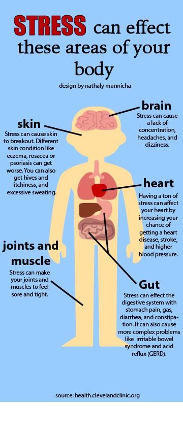 Stress And The Effects On Your Body Cnhs Media
