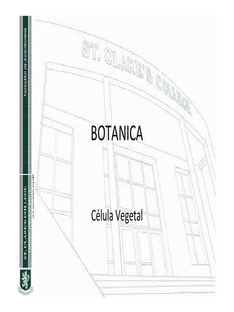 Botanica Celula Vegetal Pdf Citoplasma Vacuole