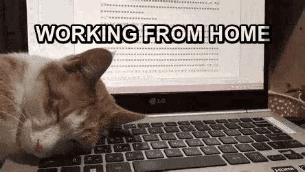 For anyone used to a clean office and a dedicated space to work, the switch to your living room may not have been the if you're still working from home and loving every minute of comfort, this may be the meme for you. Working From Home Meme GIFs | Tenor