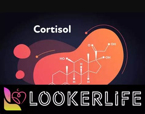 How To Lower Cortisol Levels A Comprehensive Guide To Reducing Stress