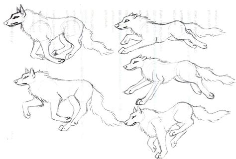 Wolf Running Drawing Tutorial