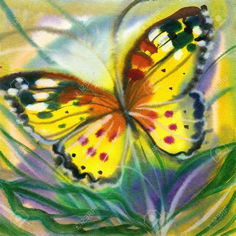 Imagen Relacionada Butterfly Gifts Red Butterfly Butterfly Painting