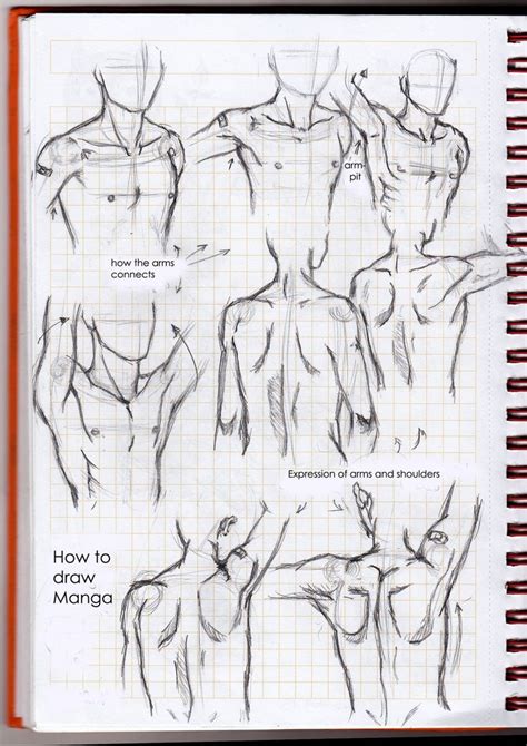 How To Draw Manga Neck Arms And Shoulders By Lunedelaneige On