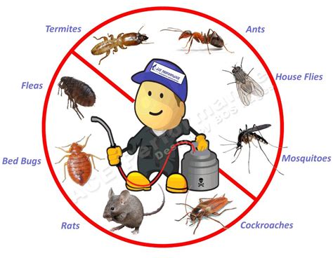 The 10 Best Bed Bug Exterminators In Raleigh Nc With Free Estimates