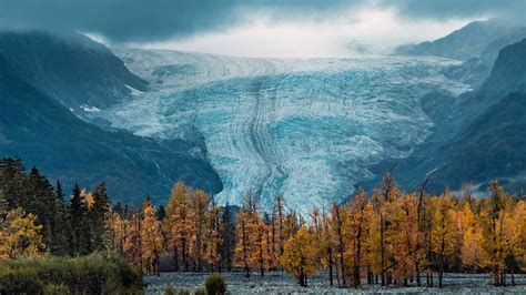 Fondos De Pantalla Alaska Naturaleza Árboles Glaciar 1920x1080