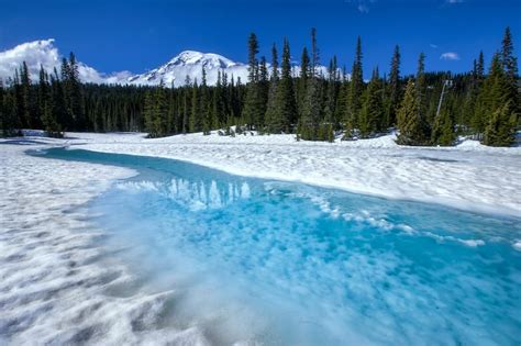 15 Best National Parks To Visit In February Seasonal Tips