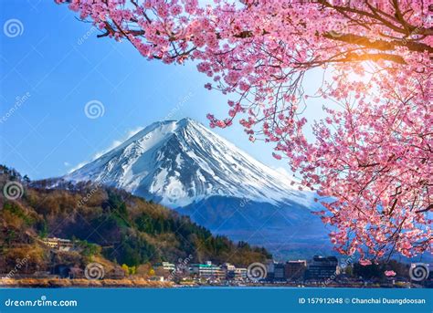 Mount Fuji And Cherry Blossoms Which Are Viewed From Lake Kawaguchiko