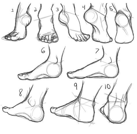 1000 Images About How To Draw Leg And Feet On Pinterest Leg Anatomy