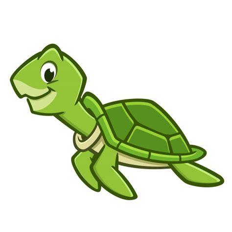 Turtle Illustrations Royalty Free Vector Graphics And Clip Art Istock