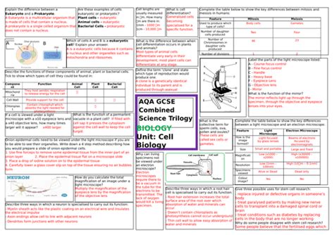 Cell Biology Revision Sheet For Aqa Gcse Combined Science Trilogy