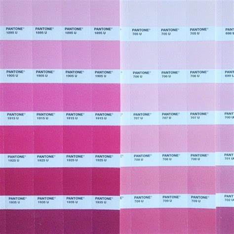 Pantone Pinks Kkcolortheory Pantone Pink Shades Pantone Pink