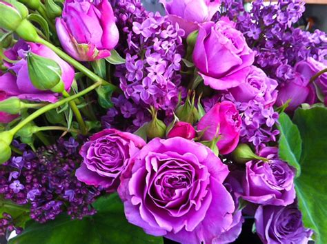 Luscious Cool Water Lavender Colour Garden Roses And Lilac