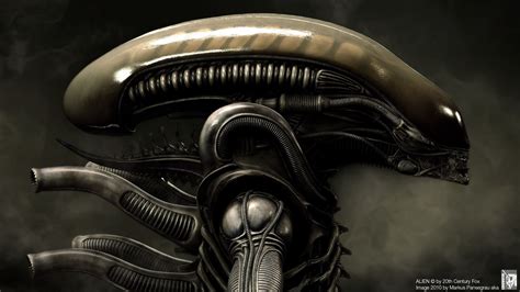 New Alien Covenant Xenomorph Head Design Revealed Updated