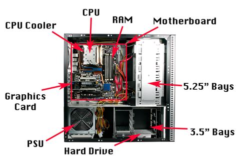 Give A Labelled Diagram Of The Cpu And Its Parts