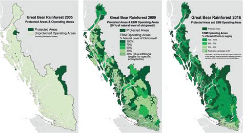Most Of Great Bear Rainforest Now Protected From Logging Canadian