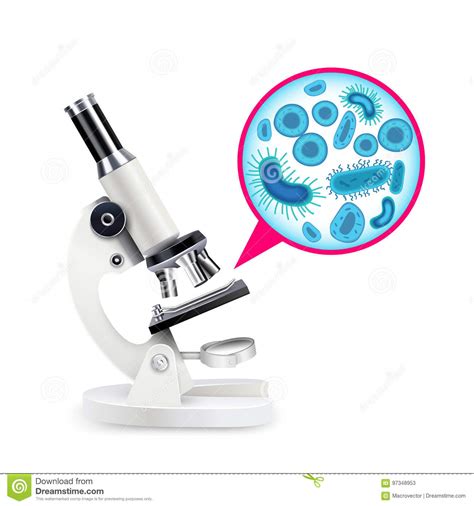白色现实显微镜 向量例证 插画 包括有 减速火箭 微生物学 实验室 光学 透镜 学校 传记 97348953