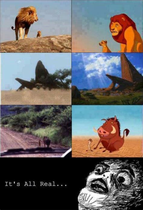 Omg The Lion King Is Real Lion King Funny Disney Memes Funny Disney
