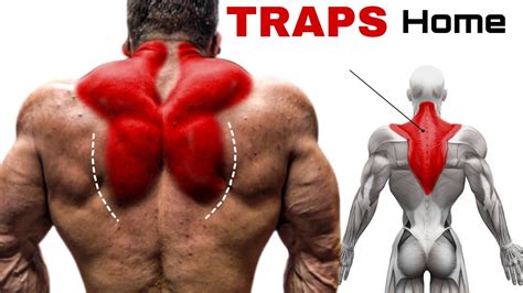 Traps Workout Home With Dumbbells To Build Big Traps Youtube