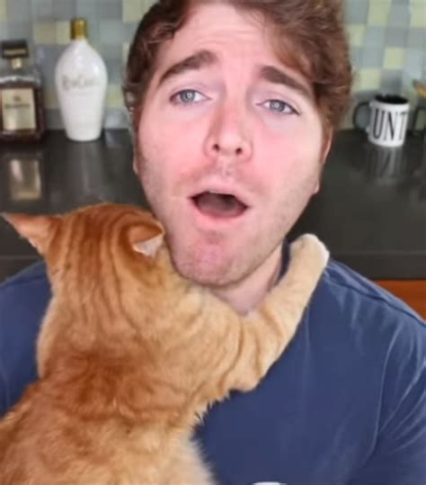 Shane Dawson And His Cat 5 Fast Facts You Need To Know