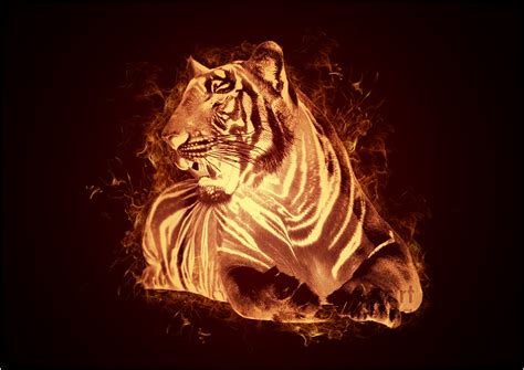 Fire Tiger By Meathix On Deviantart