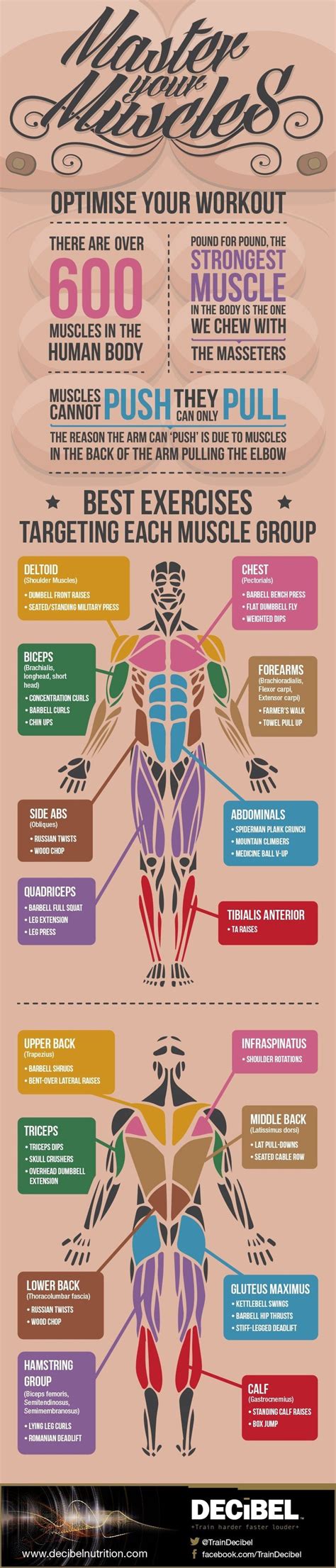 Fitness Articles Tips And Workouts 16 Super Helpful Charts That Teach