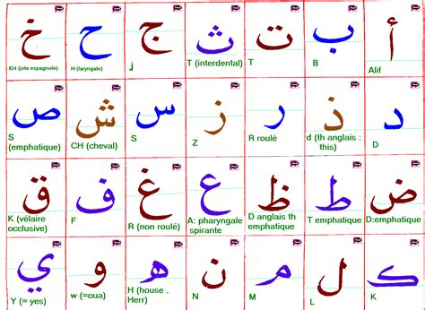 Alphabet Arabe ã Imprimer Pdf Pdfsfh