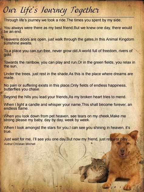I first saw this poem in a vets office. a dogs prayer | Pet Prayers | Dog poems, Pet remembrance ...