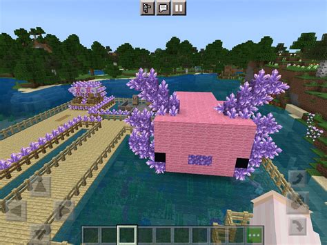 Made A Axolotl House Rminecraft