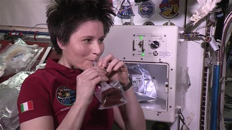 Hallan Formas De Vida No Deseadas En La Estación Espacial Internacional
