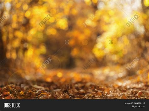 Fall Leaves Blurred Image And Photo Free Trial Bigstock