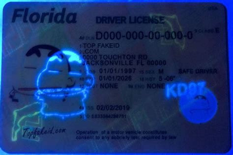 Fake Florida Driver License Novelty Documentation