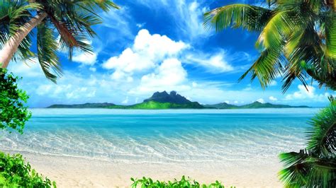 Download Tropical Island Palm Trees Beach Hawaii Wallpaper