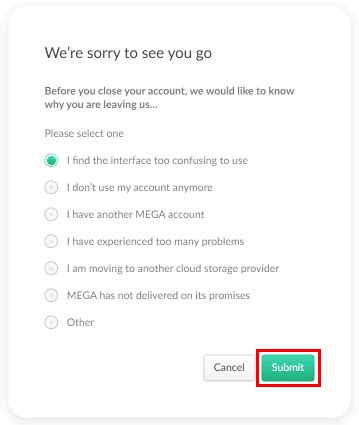 How To Delete MEGA Account TechCult