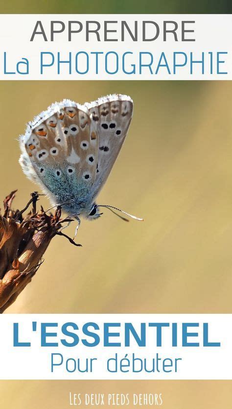 Les Bases De La Photographie Apprendre Et Comprendre La Photo